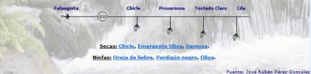 Re: para el web
